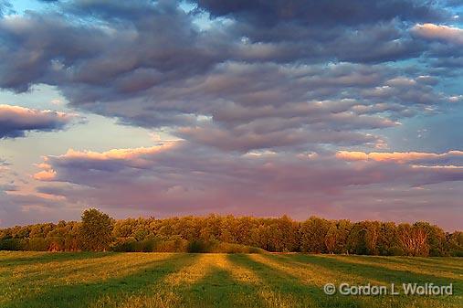 Sunrise Shadows_49628-9.jpg - Photographed near Carleton Place, Ontario, Canada.